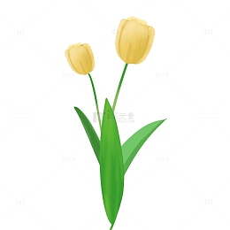 手绘郁金香教师节分层