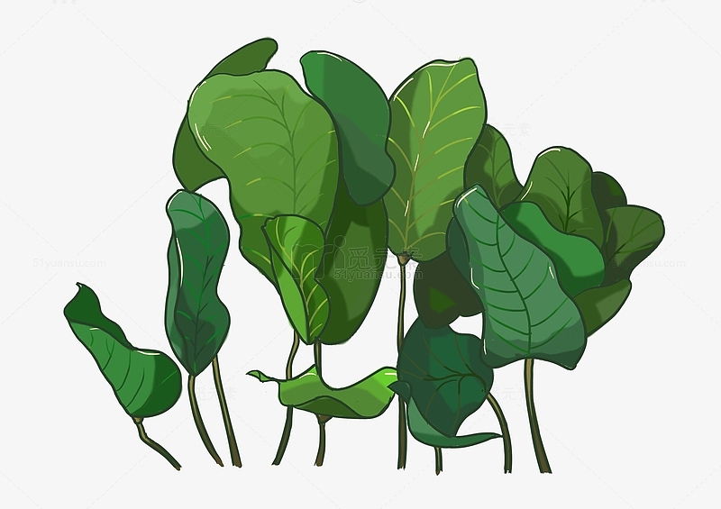 绿色植物叶子手绘插画