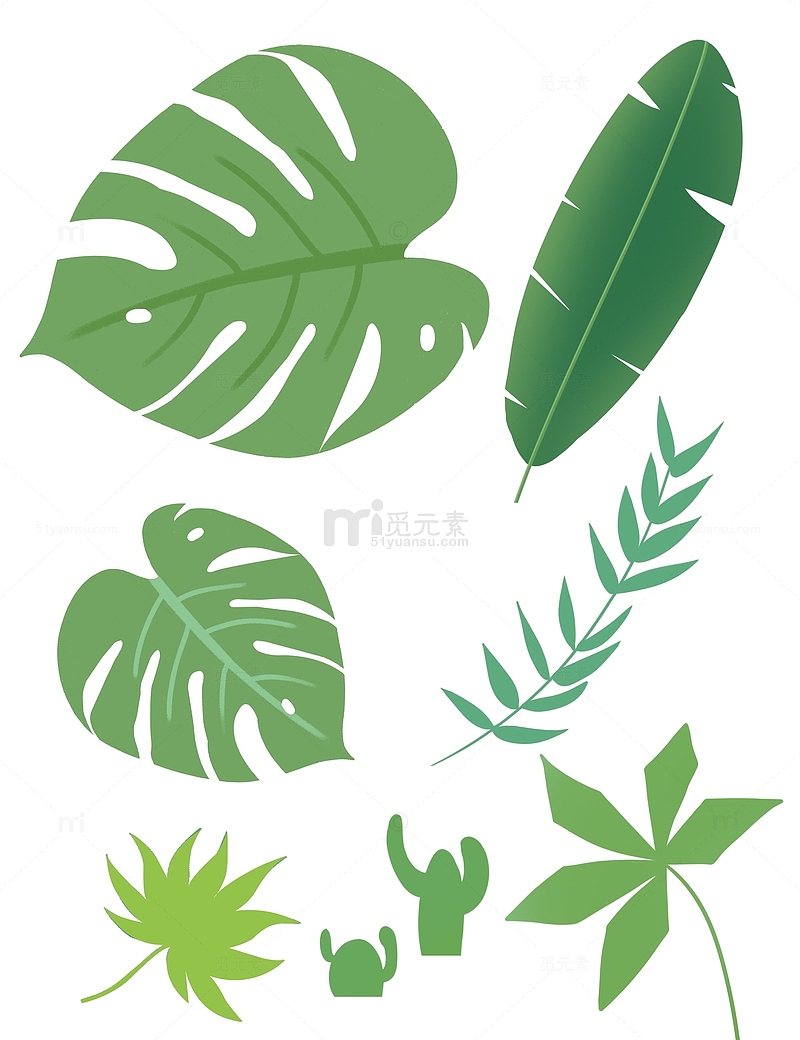 手绘绿色小清新扁平风热带植物