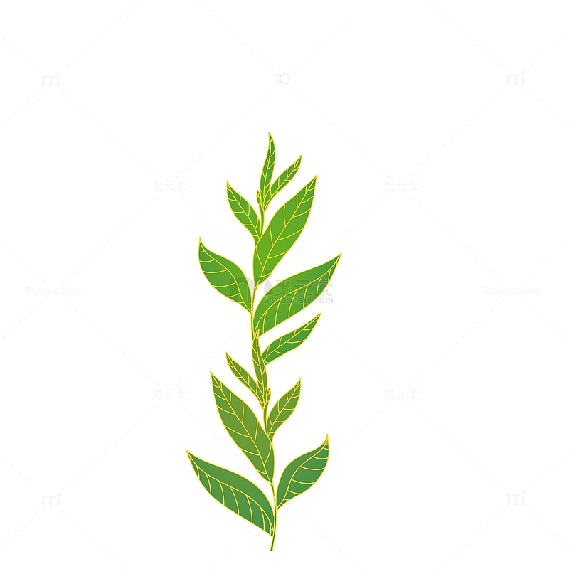 手绘小清新植物绿茶茶叶茶树