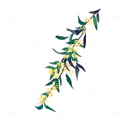 手绘桂花桂花树中秋节中秋元素