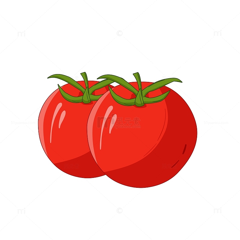 红色矢量番茄蔬菜手绘矢量插画