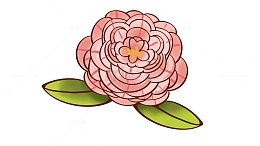 粉色卡通山茶花秋天手绘元素