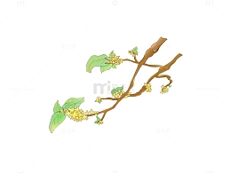 中秋桂花树手绘插画