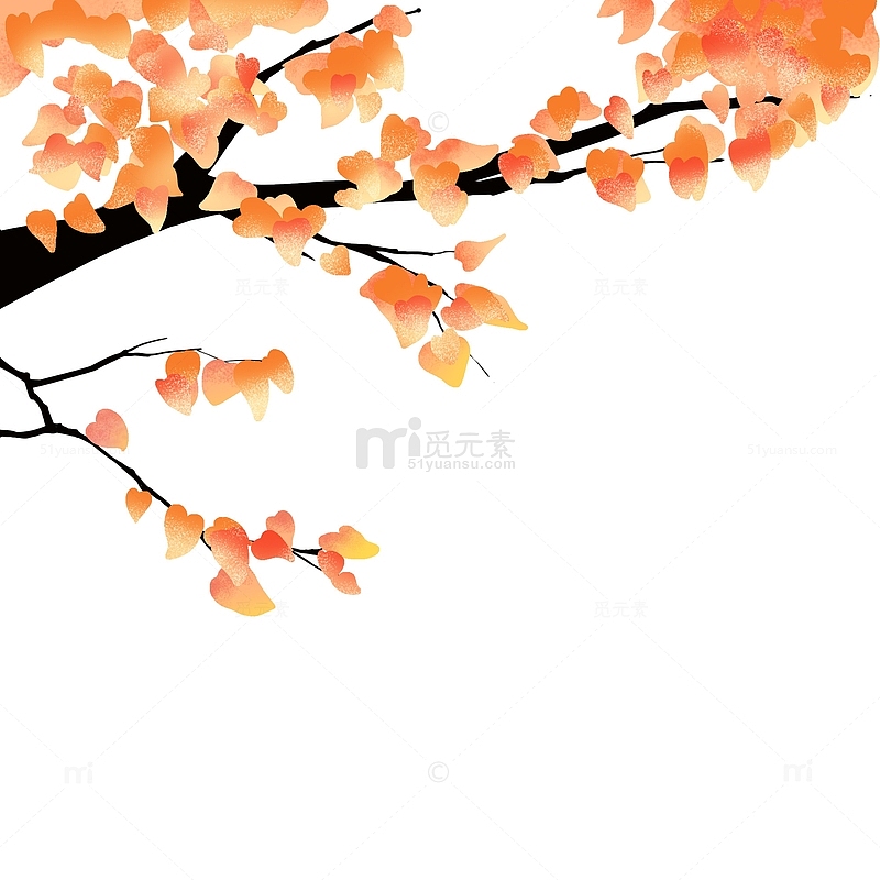 秋季红叶插画元素