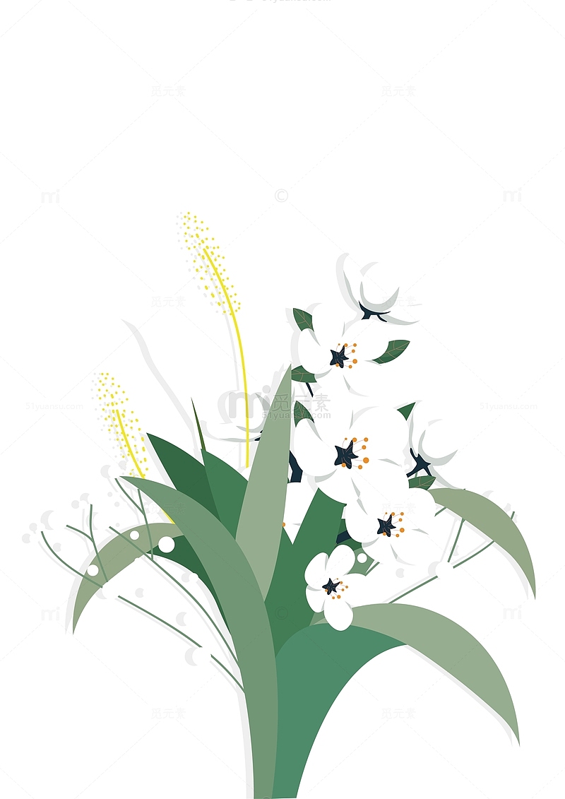 白色鲜花花朵植物装饰插画
