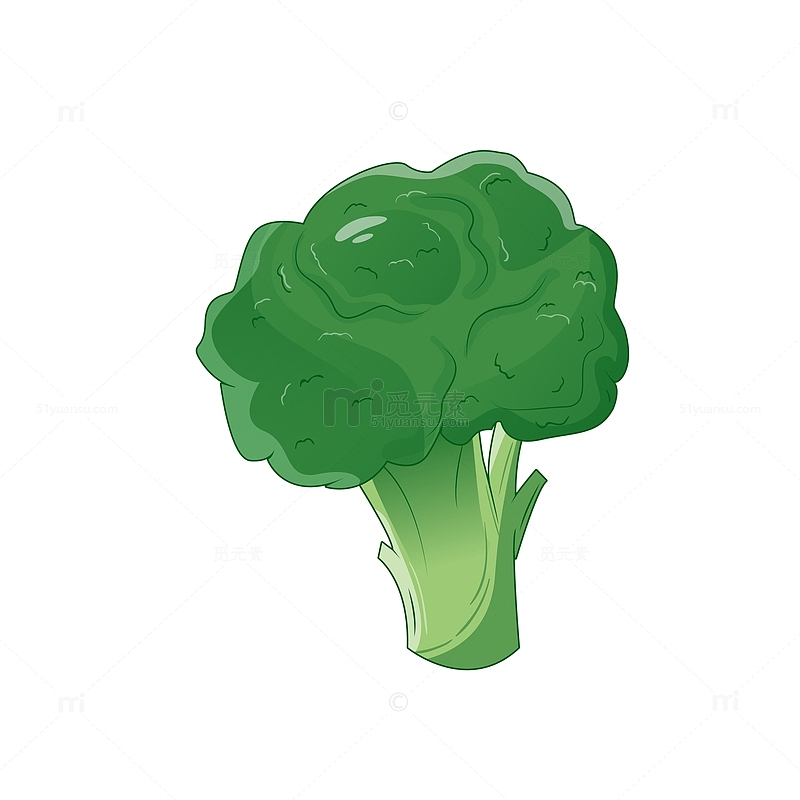 绿色小清新西兰花蔬菜手绘矢量插画