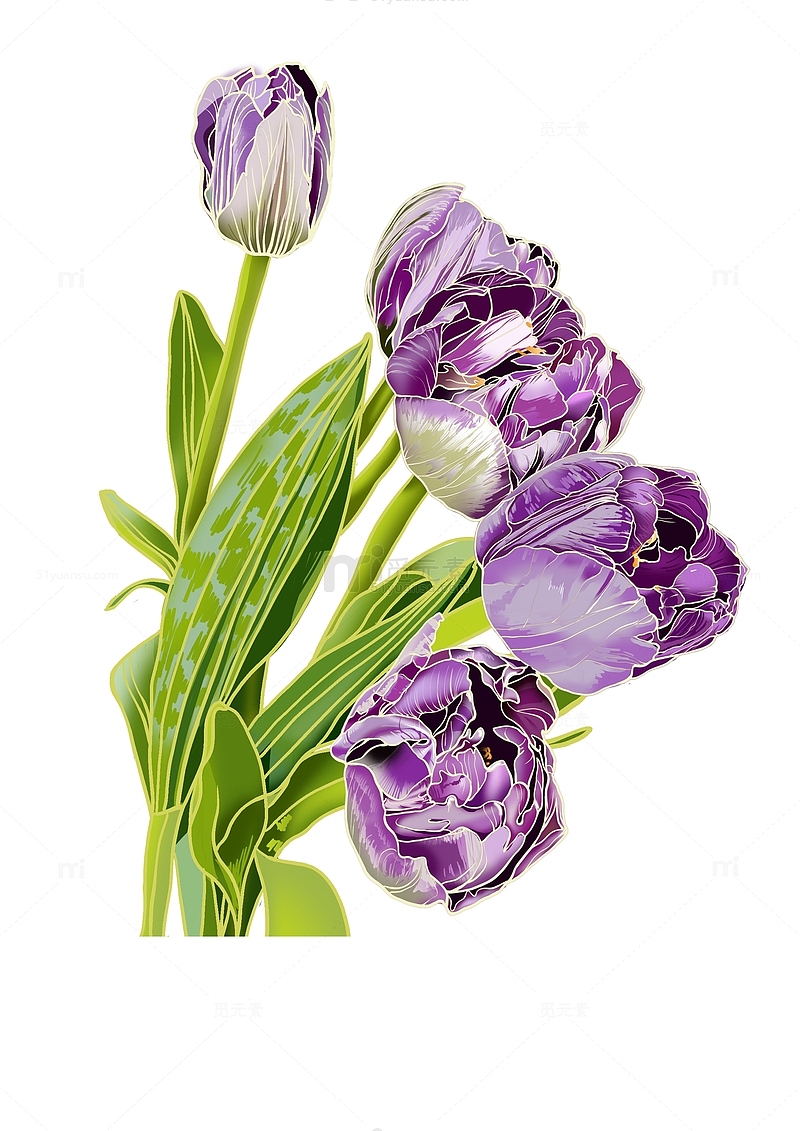 紫色国潮花卉线稿插画图