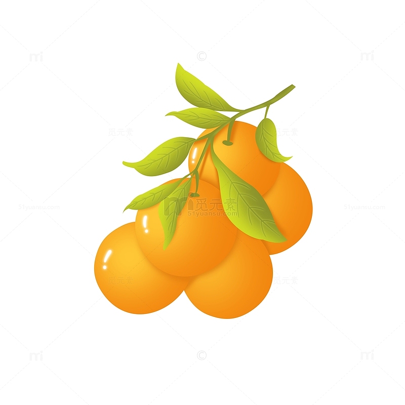 橙色绿色小清新橙子橘子桔子一堆水果手绘
