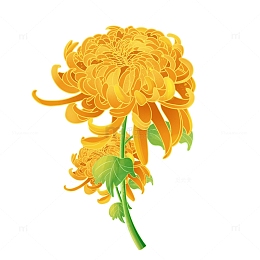 中秋节国潮中国风菊花元素