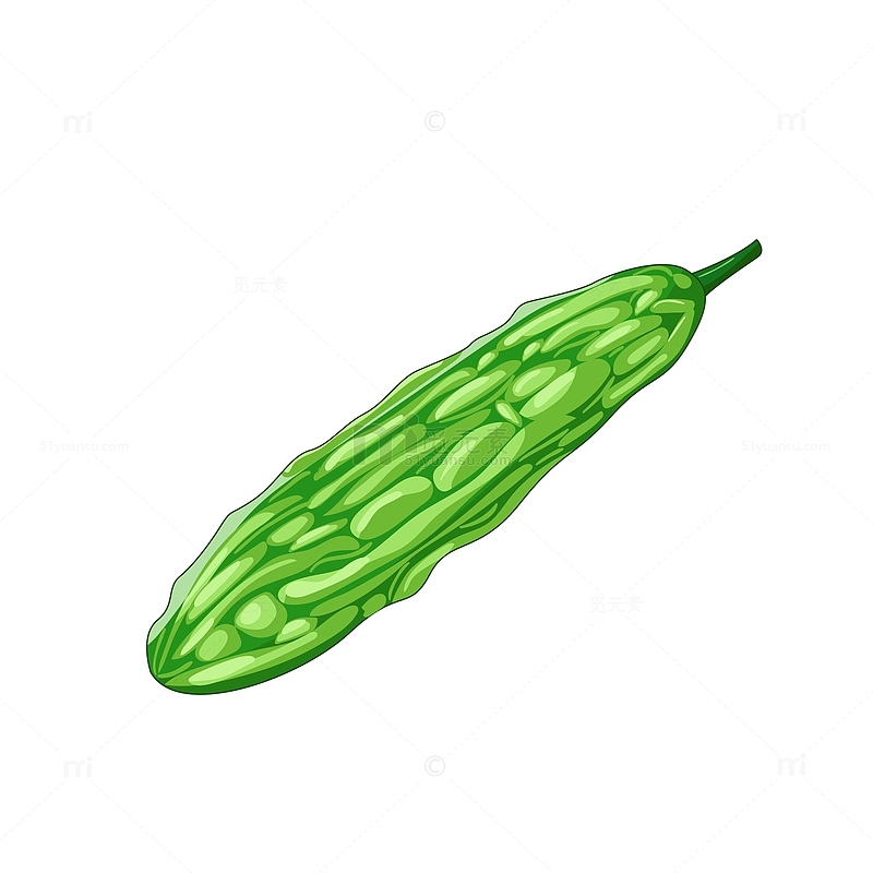 绿色矢量苦瓜蔬菜手绘矢量插画