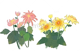 粉色黄色菊花元素