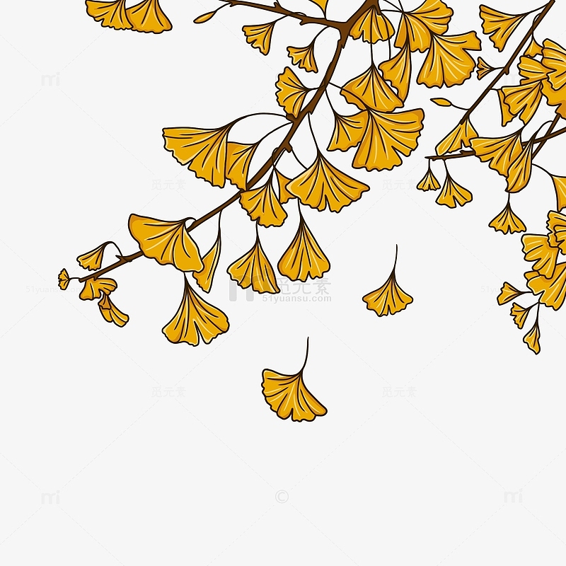 黄色秋天手绘银杏叶