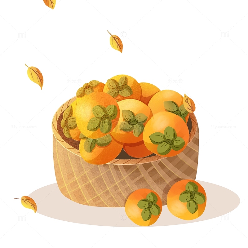 立秋季节气柿子篮子叶子水果元素