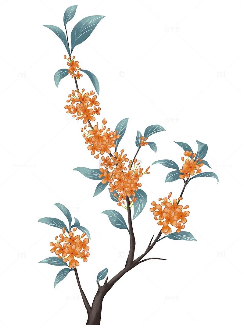 橙黄色小清新中秋节桂花手绘元素