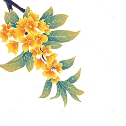 中秋节国潮桂花