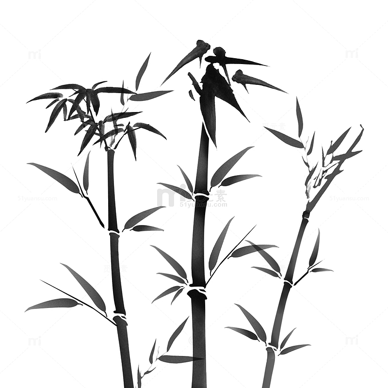国风水墨手绘竹子竹林植物素材