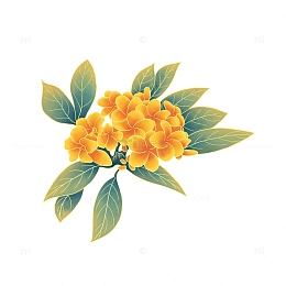 中秋节国潮风桂花