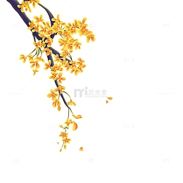 中秋节金色桂花