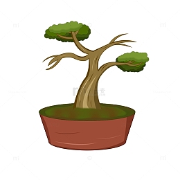 绿色卡通松柏植物盆栽