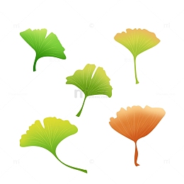 简约小清新绿色银杏叶子植物元素