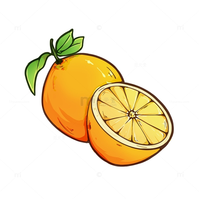 水果 橙子 手绘 插画