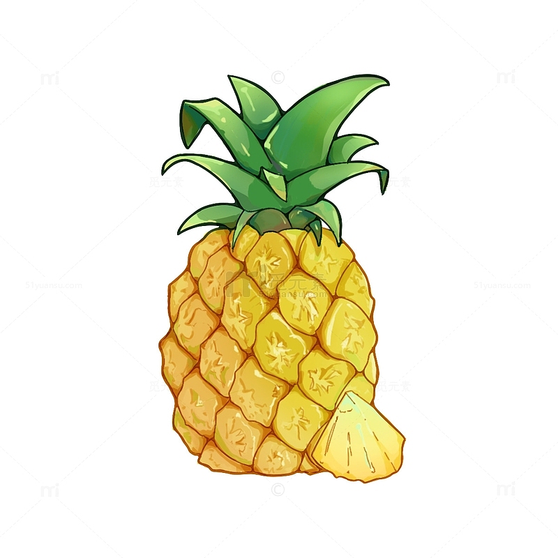 黄色 水果 菠萝 手绘 插画