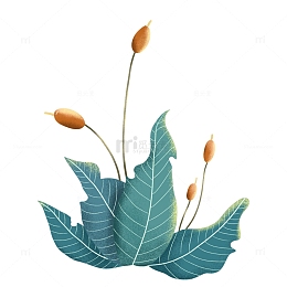 绿色国潮扁平风小清新芦苇花丛植物装饰元素