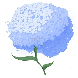 蓝色小清新绣球花装饰植物手绘图