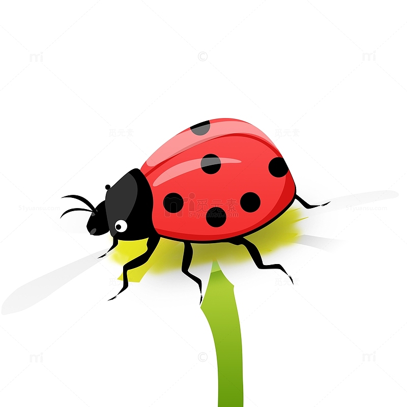 卡通可爱红色甲虫与雏菊手绘元素