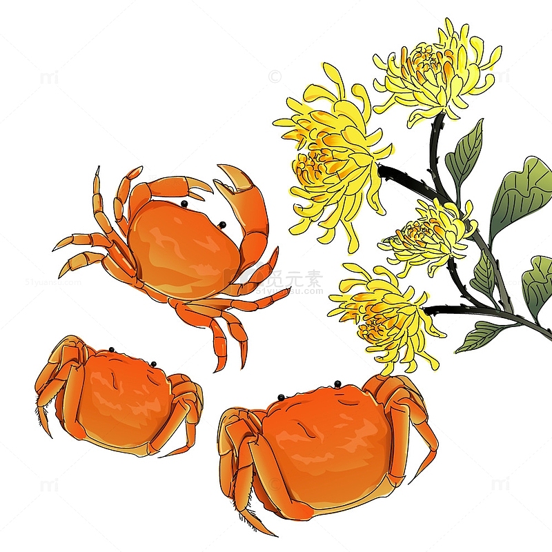 橙黄色创意手绘螃蟹菊花秋季中秋矢量素材