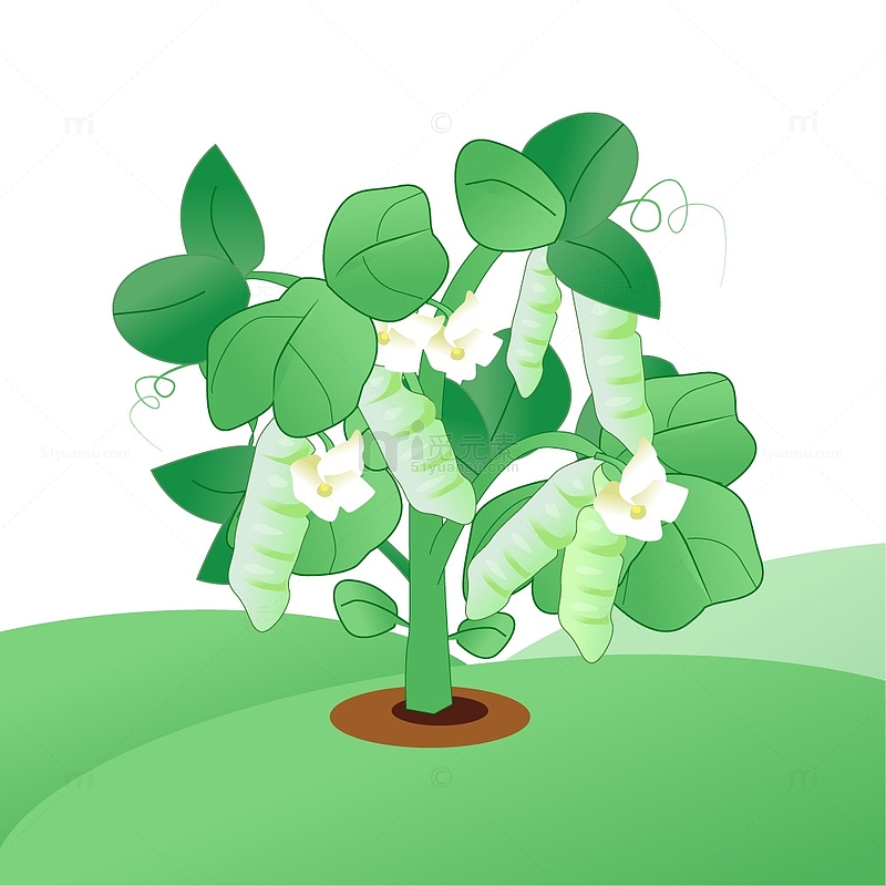 绿色创意手绘卡通豌豆整株矢量植物素材
