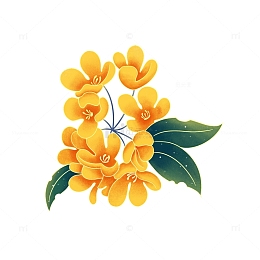 中秋节金黄色桂花