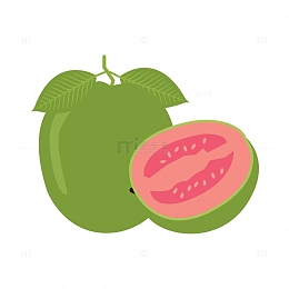 热带水果番石榴卡通插画免抠素材
