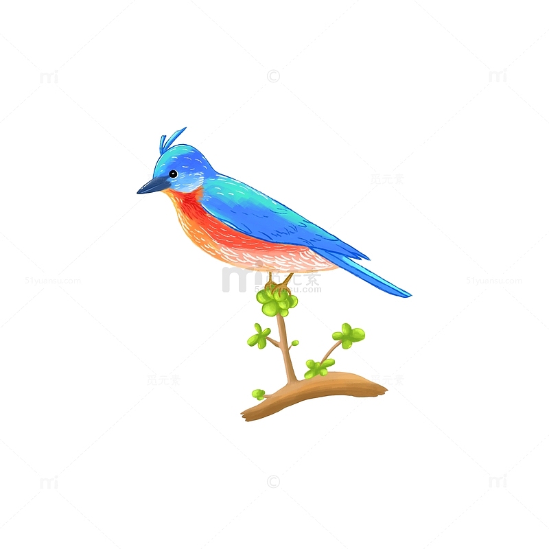 孔雀蓝清新树枝上的小鸟手绘图