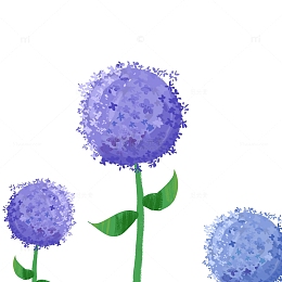 紫色植物绣球花手绘插画