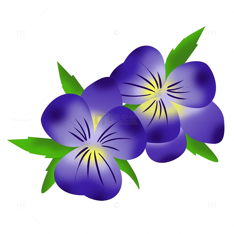 紫罗兰植物花朵花卉手绘元素