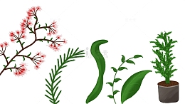 绿色 花 草 盆栽 仙人掌 绿植 插画