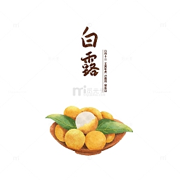 二十四节气白露手绘水彩插画之龙眼