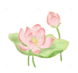 粉绿色清新国风水彩荷花荷叶手绘图