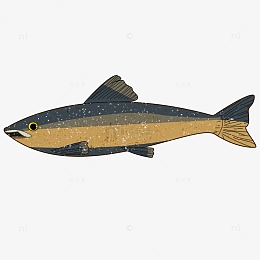 黄色海底生物鲅鱼