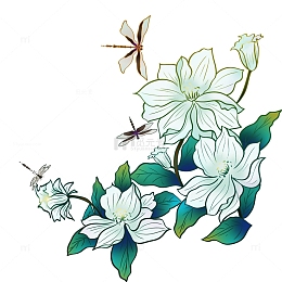 白色手绘栀子花装饰元素