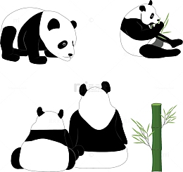 黑白可爱风熊猫吃竹子
