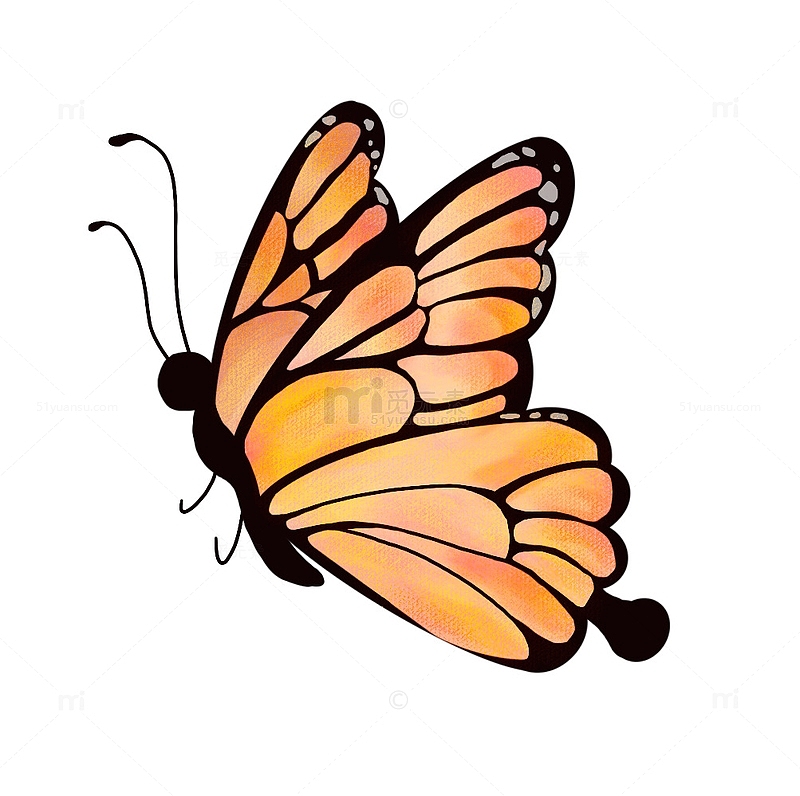 黄色卡通翩翩起舞的蝴蝶手绘图