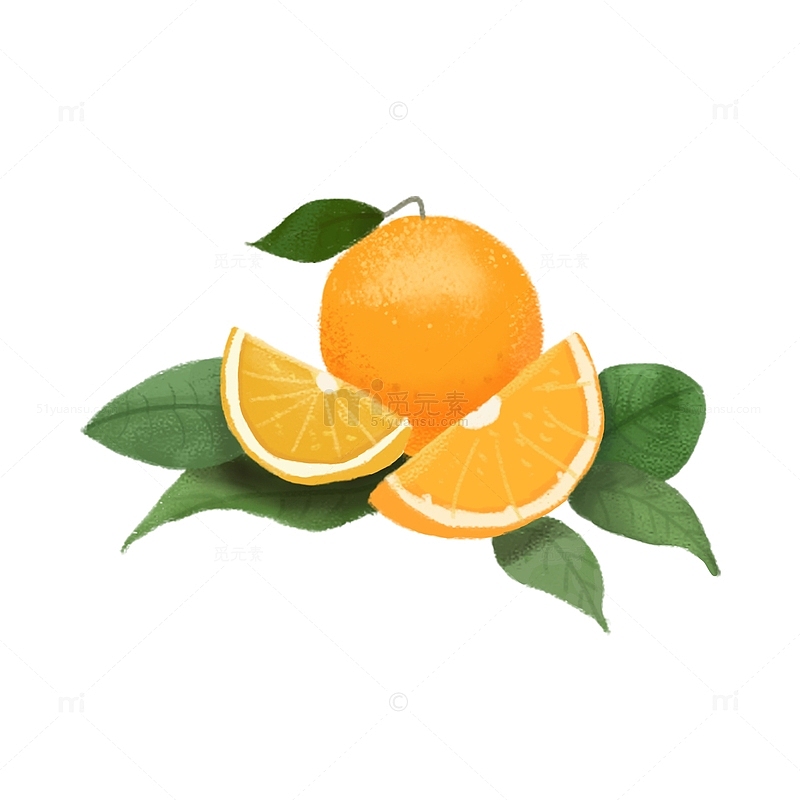 手绘风小清新新鲜水果橙子橘子叶子插画