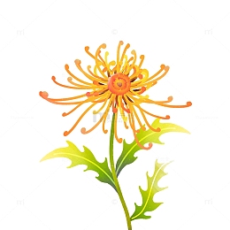 手绘卡通小清新渐变菊花花卉素材