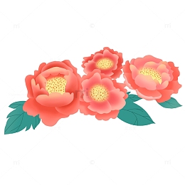 红色的牡丹花