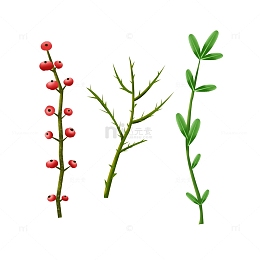 绿色植物元素