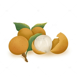 手绘桂圆卡通小清新素材