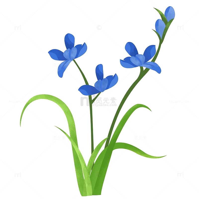 蓝色清新兰花植物花卉花草素材